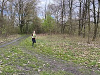 IMG 7655