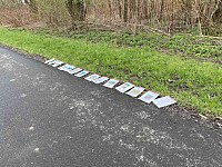 IMG 7661