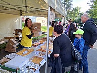 Běh pro Světlušku - Opava, 4.10. 2023 (22)