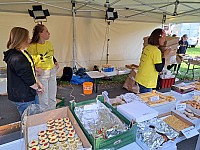 Běh pro Světlušku - Opava, 4.10. 2023 (23)