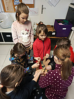 IMG 20250313 100831 905