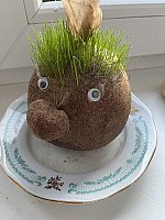 IMG 6065