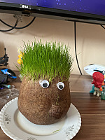 IMG 6072