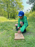 IMG 4512