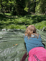 IMG 4523
