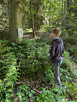 IMG 4528