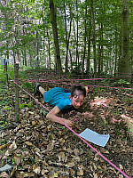 IMG 4532