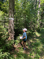 IMG 4537