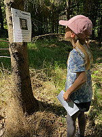 IMG 4564
