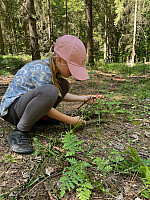 IMG 4567
